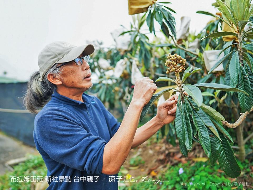 台中新社｜布拉姆田莊