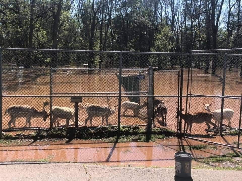 After hurricane Ida hit the area Sept. 1, local animal welfare advocates are calling for the closure of Johnson Park Animal Haven in Piscataway.