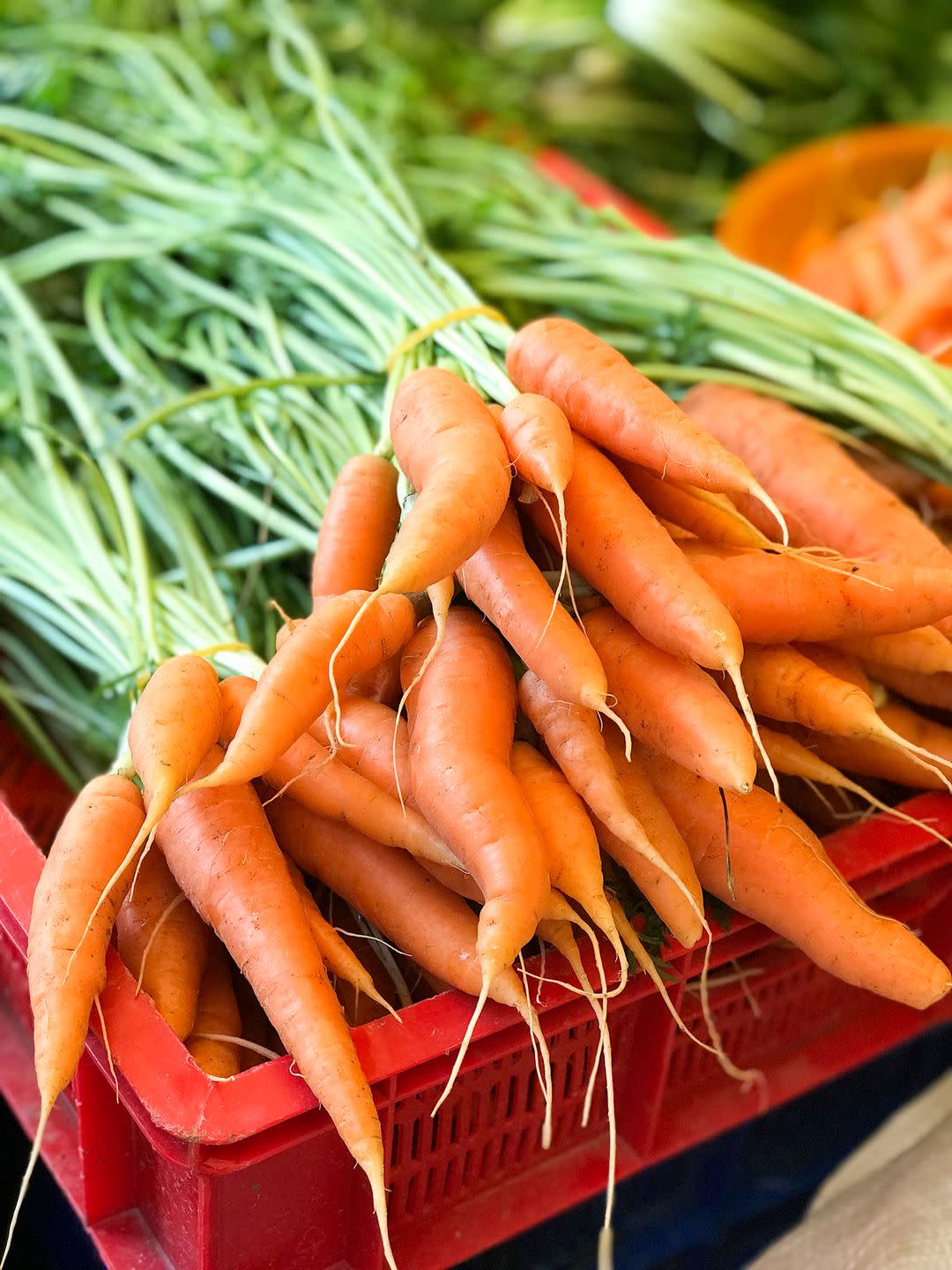 summer vegetables carrots