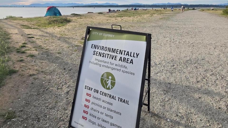A photo taken June 8, 2024, shows people congregating on the beach and a tent set up in an environmentally sensitive area, as described by a sign, at Blackie Spit in Surrey, B.C.