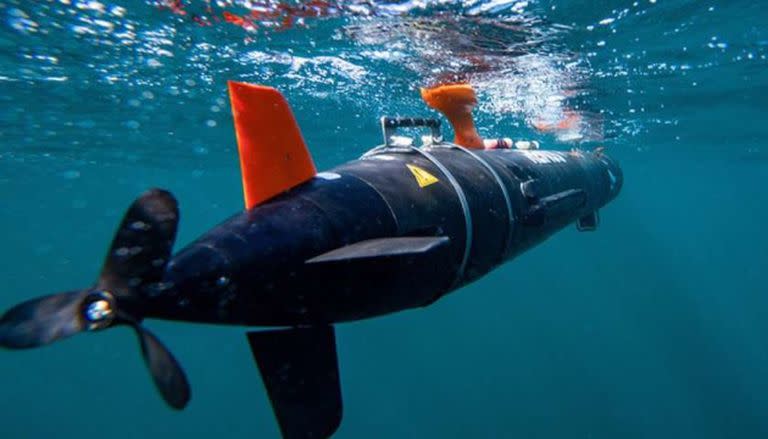 Los ucranianos se capacitarán en el manejo de drones acuáticos.