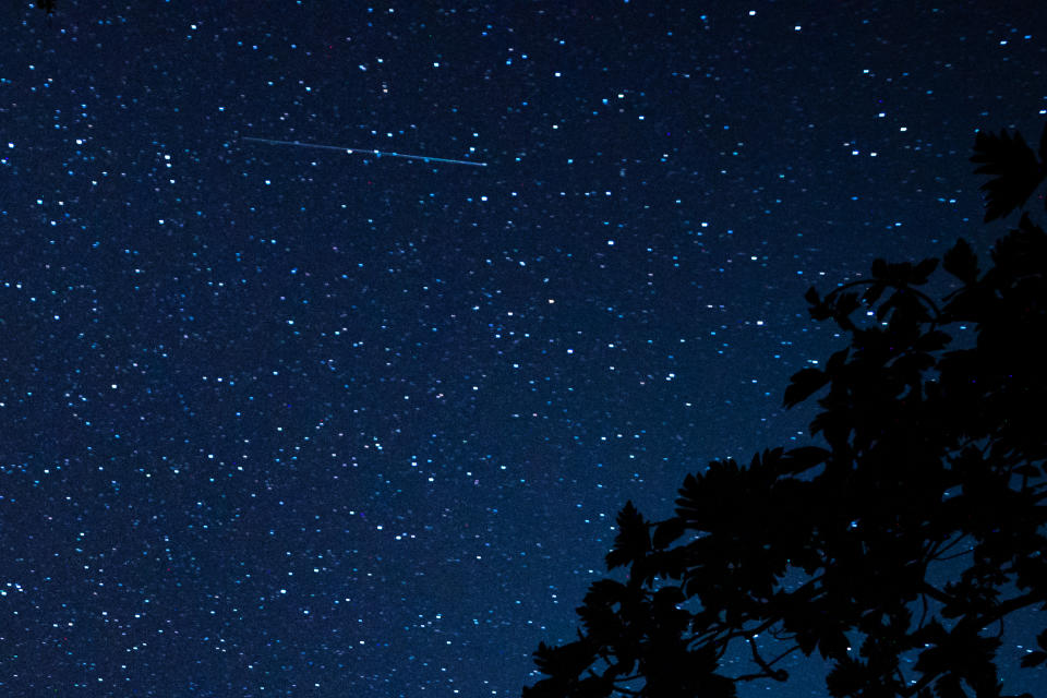 Starry night sky with several white streaks.