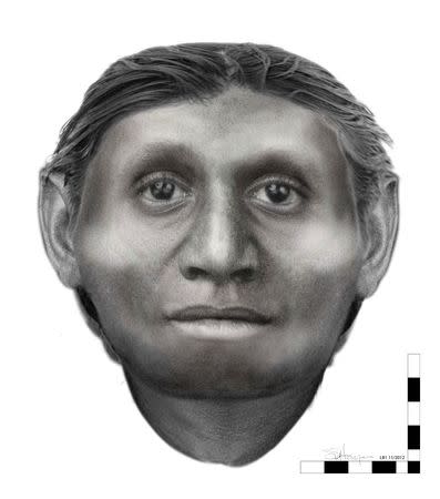 This artist's illustration shows the head of the diminutive extinct human species Homo floresiensis, better known as the 'Hobbit,' known from fossils unearthed on the Indonesian island of Flores. Newly discovered fossils indicate that these tiny people evolved from a big-bodied extinct human species called Homo erectus that first arose in Africa and later spread to Asia. Courtesy Susan Hayes/Handout via REUTERS