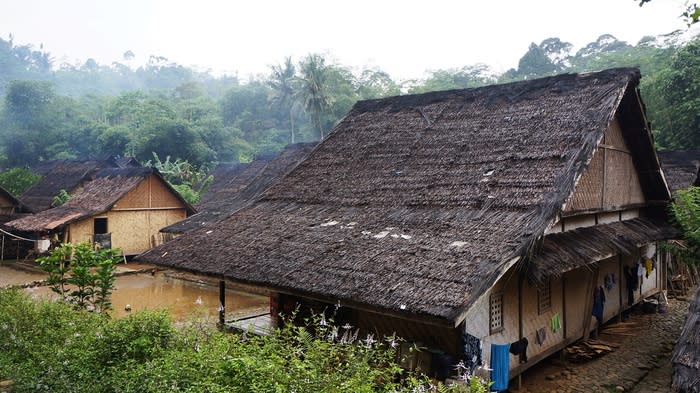 Traditional houses: Baduy's traditional house is made from bamboo and local woods and surrounded by the trees. (