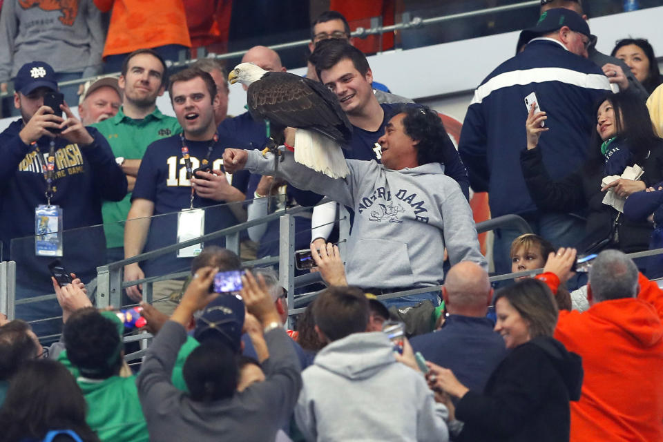 An eagle blessed the Irish prior to the Cotton Bowl. (Getty Images)
