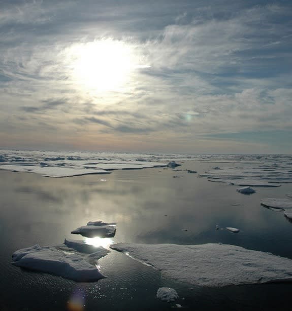 The dramatic loss of Arctic sea ice this summer is just one of the signs global warming has not stopped, scientists say.