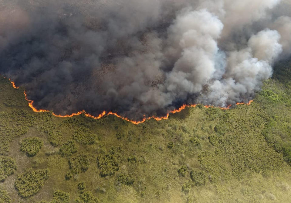 This photo distributed by Mexico’s Secretary of Ecology and the Environment (SEMA) in Quintana Roo state shows a fire burning in the Sian Ka'an nature reserve on the Yucatan peninsula, near Felipe Carrillo Puerto, Mexico, Sunday, July 14, 2019. The civil protection coordinator for the state of Quintana Roo said Sunday the fire has already consumed 600 hectares (1,500 acres) of brush and other plants. (SEMA via AP)
