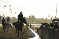 Didia, center, works out ahead of the Breeders' Cup horse race Wednesday, Nov. 1, 2023, in Arcadia, Calif. (AP Photo/Ashley Landis)