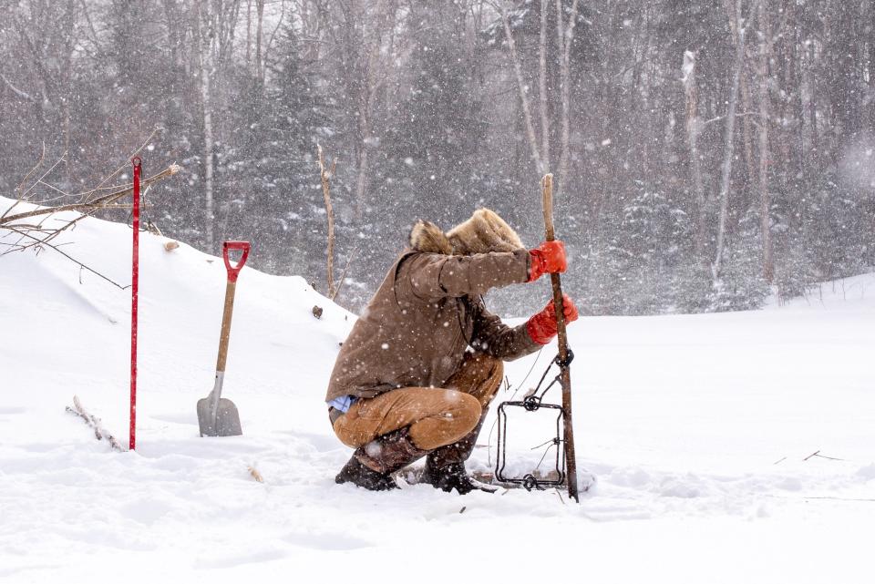 A trapper in the process of setting a trap below the ice for beaver during Vermont's regulated trapping season for this species.