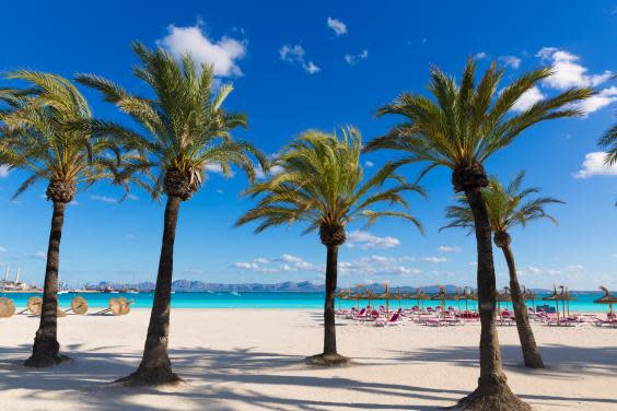 Alcudia beach, Mallorca (istock)