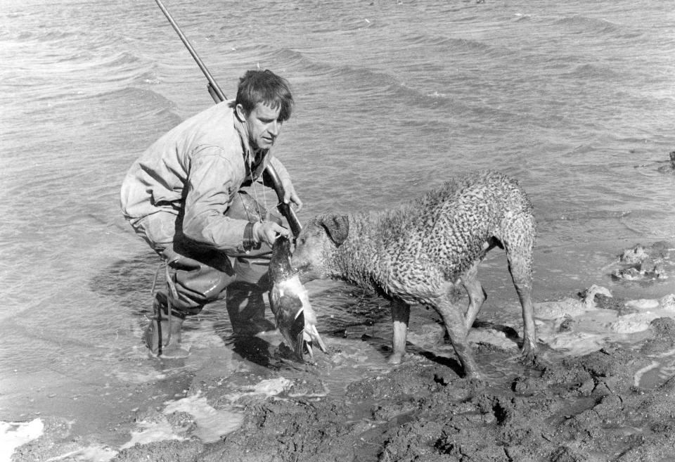 Dr. David Etnier, a UT professor and outdoorsman who died earlier this year, on a hunting trip in January 1971.