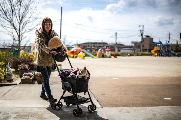 Sato going to work with Kabosu in a stroller earlier this year.