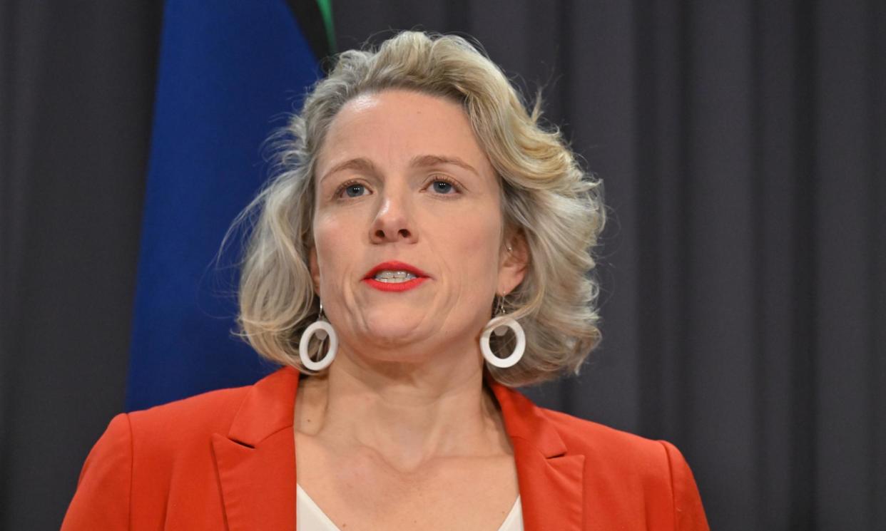 <span>‘I ask Australians to be really cautious over the next few days about attempts to use this for scamming or phishing', Clare O’Neil says of Microsoft IT outage.</span><span>Photograph: Mick Tsikas/AAP</span>