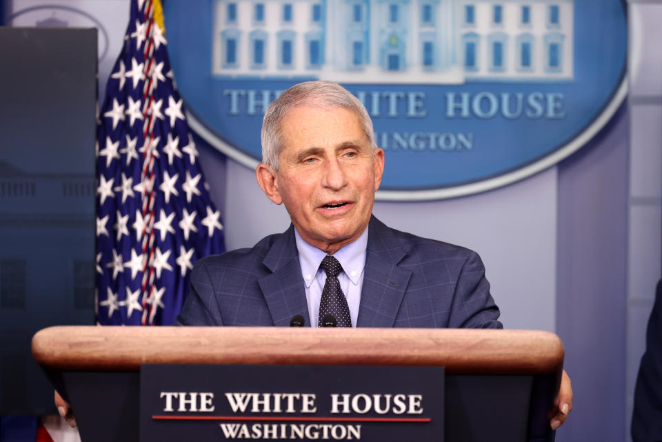 Dr. Anthony Fauci, Director of the National Institute of Allergy and Infectious Diseases, speaks during a White House Coronavirus Task Force press briefing in the James Brady Press Briefing Room at the White House on November 19, 2020 in Washington, DC. (Tasos Katopodis/Getty Images)