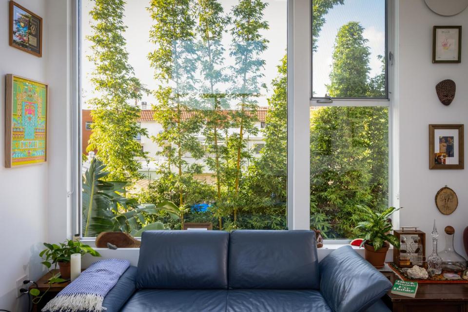 Large windows in the living room of an ADU.