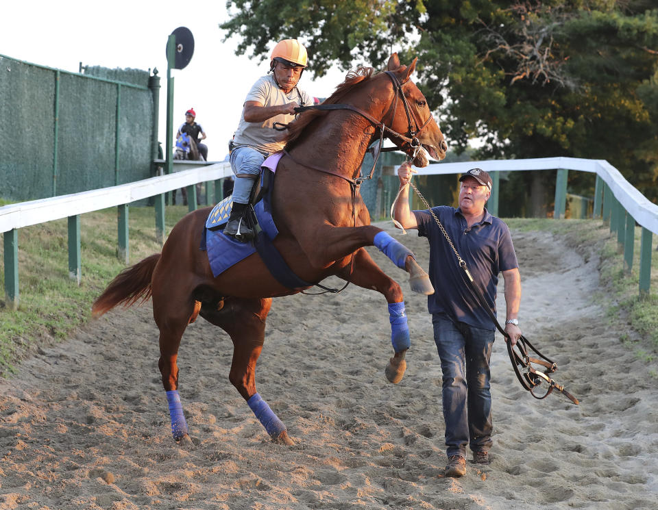 In this photo provided by Equi-Photo, Haskell contender Taiba, exercise rider Na Somsanit up, is led by groom Roberto Luna after a morning gallop at Monmouth Park Racetrack in Oceanport, N.J., Wednesday, July 20, 2022. The $1 million Haskell Stakes is Saturday, July 23. (Bill Denver/Equi-Photo via AP)