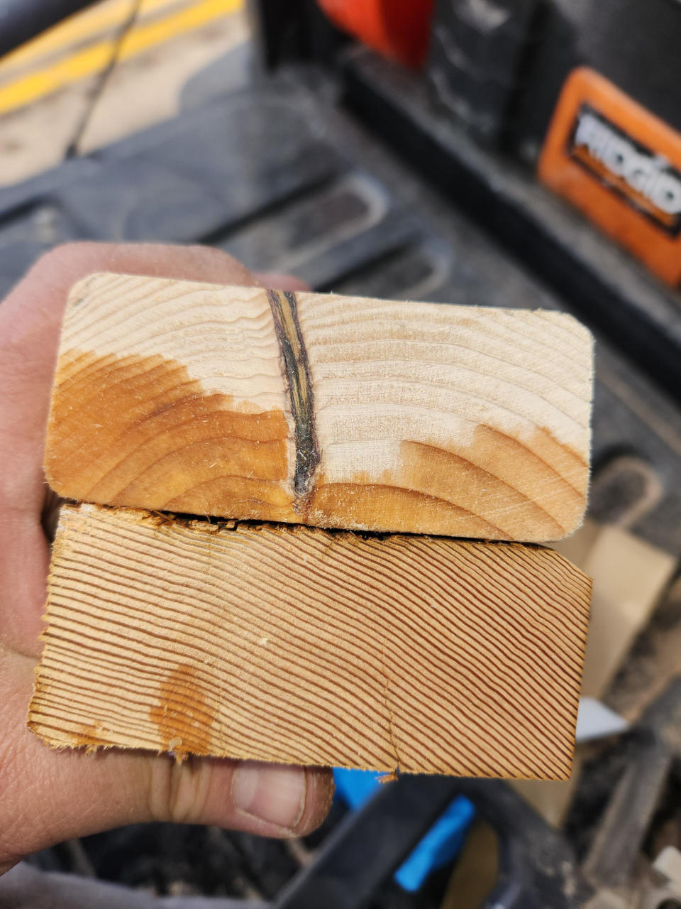 1950s wood has more striations/growth rings