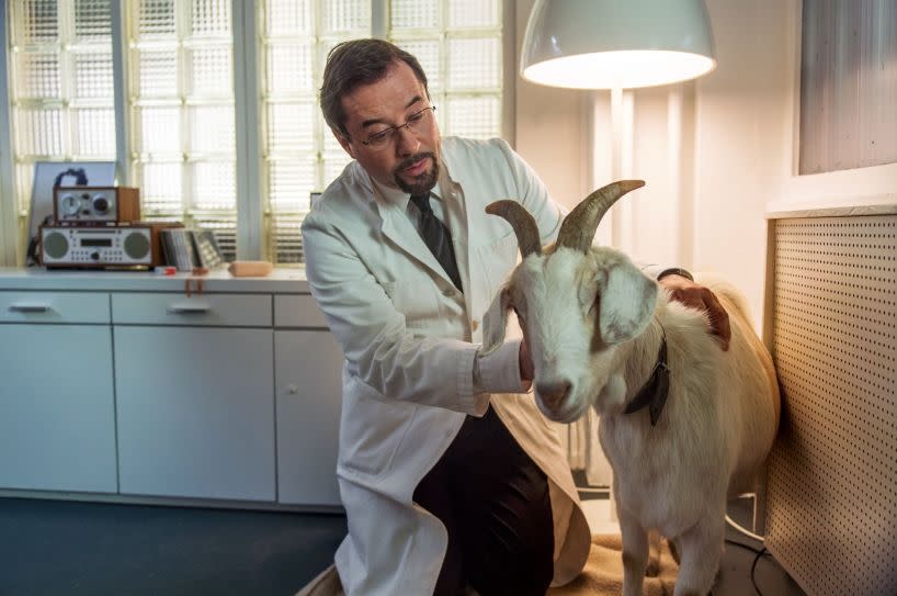 Boerne (Jan Josef Liefers) hat mit der Ziege ein Huhn zu rupfen. (Bild: WDR / W. Ennenbach)