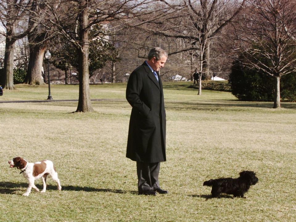 Auch Obamas Vorgänger im Weißen Haus, George W. Bush, hatte ein Herz für Tiere und zeigte sich gerne mit seinen Hunden Spot und Barney. (Bild: Mark Wilson/Newsmakers)