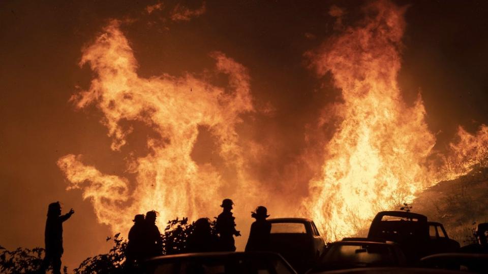 El fuego arrasa hectáreas enteras