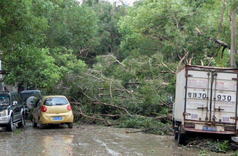 A collapsed tree blocks a street in Shantou, southern China's Guangdong province, on September 23, 2013 after Typhoon Usagi landed in Guangdong