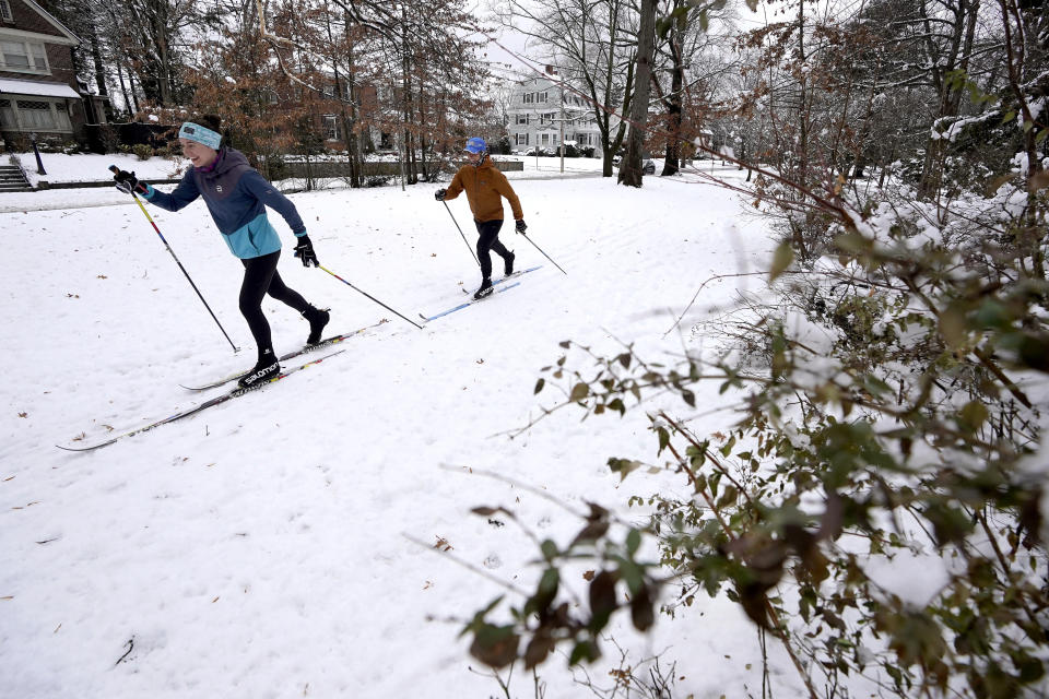 Cross-country skiers make their way past snow-covered bushes, Tuesday, Feb. 13, 2024, in a park in Providence, R.I. Parts of the Northeast have been hit by a coastal storm that's dumping snow and packing strong winds in some areas, while others aren't getting as much snow as anticipated. (AP Photo/Steven Senne)