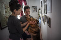 Medical students Melanie Rolo Gonzalez, left, and her sister Merlyn pet their German shepherd, London, at home in Havana, Cuba, Saturday, Dec. 10, 2022, days before leaving to migrate to the U.S. The women once dreamed of traveling as doctors, but they quickly grew disillusioned about life in Cuba. (AP Photo/Ramon Espinosa)