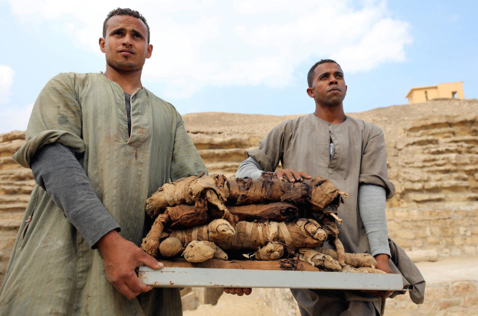 Workers carry mummified cats outside the tomb of Khufu-Imhat, at the Saqqara area near its necropolis, in Giza, Egypt (Picture: Reuters)