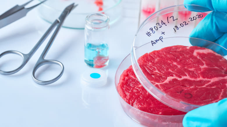 Cultivated meat from laboratory 