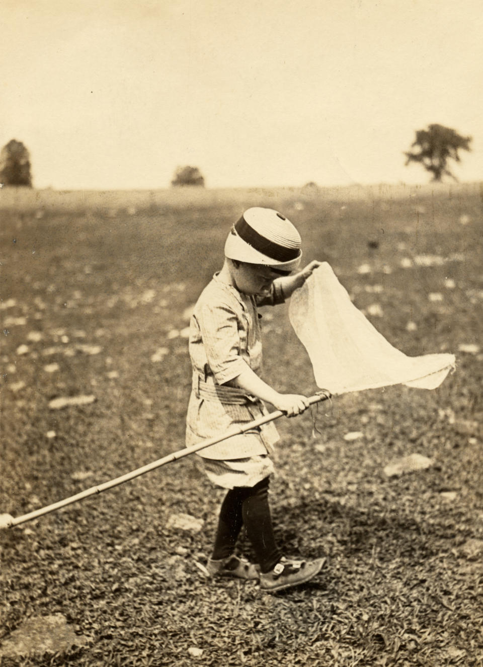 A young boy plays in a field with a butterfly net, Ulysses, Pennsylvania, 1913. (Photo by Vintage Images/Getty Images)