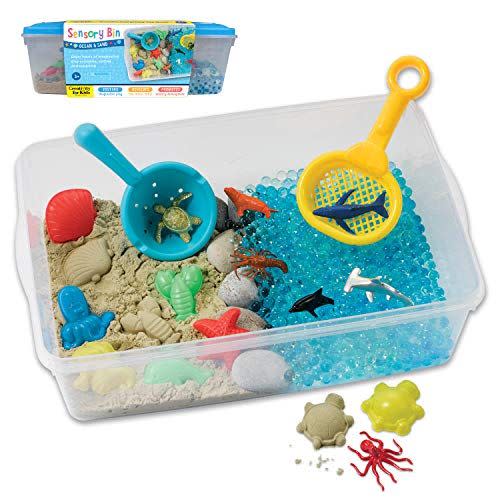 23) Ocean and Sand Sensory Bin