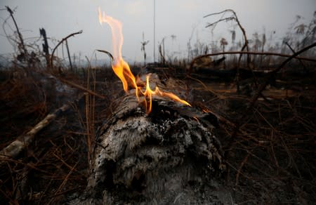 A tract of Amazon jungle is seen after a fire in Boca do Acre