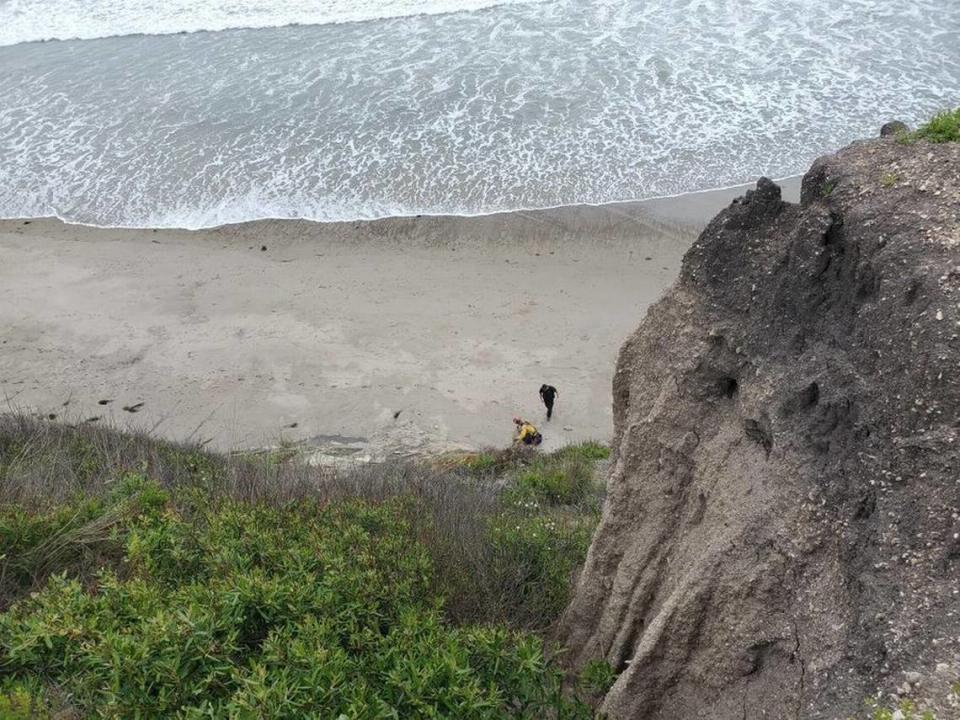 A “combative” patient was removed from the Dolphin Bay Hotel cliff side by firefighters and urban search and rescue team members.