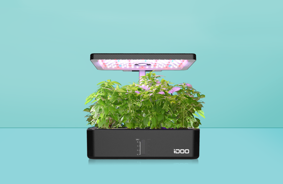 These Indoor Herb Garden Kits Make It Possible to Grow Fresh Herbs Year-Round