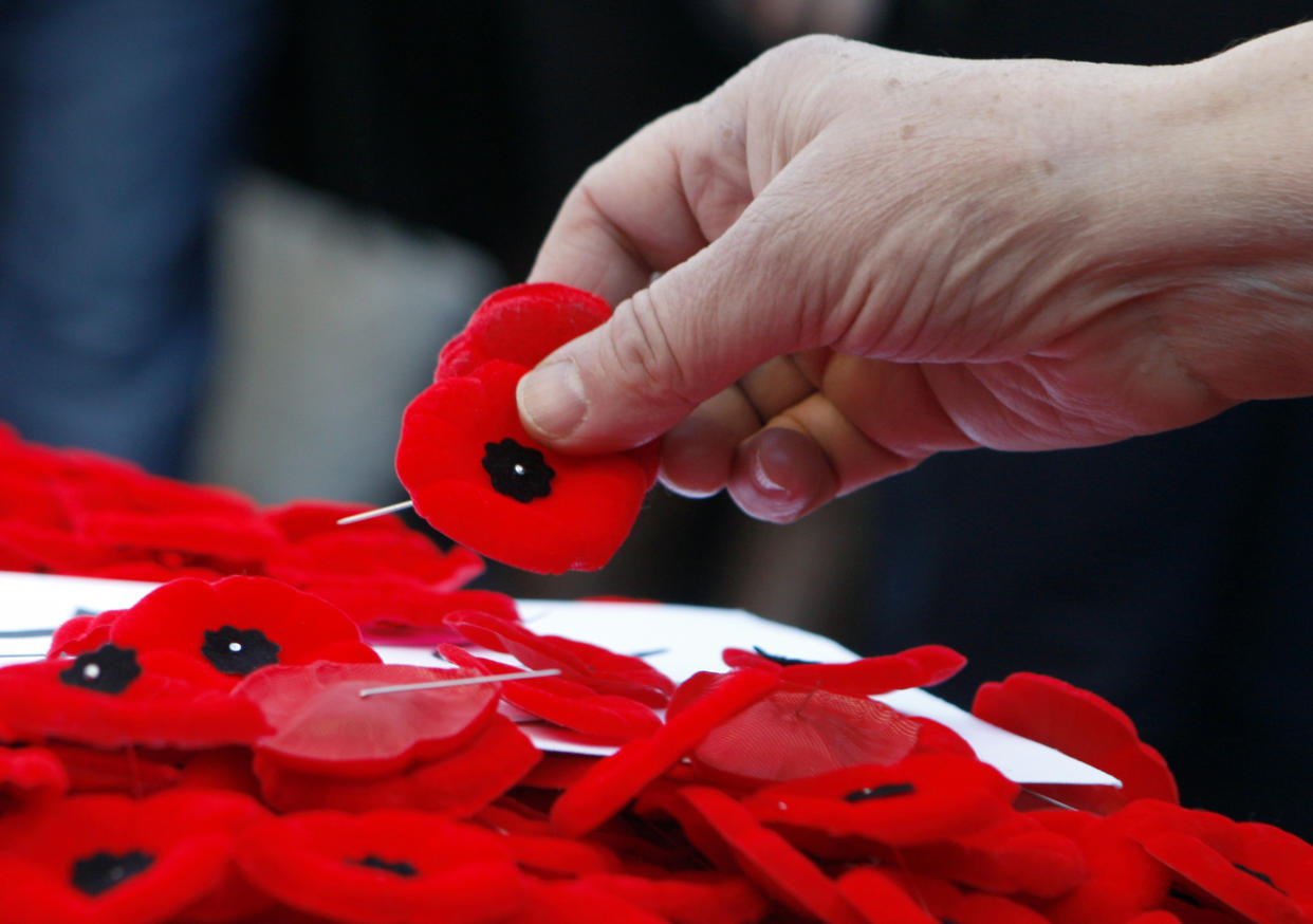 Poppies are placed on the Tomb of the Unknown Soldier following a Remembrance Day ceremony at the National War Memorial in Ottawa November 11, 2010.     REUTERS/Blair Gable     (CANADA - Tags: POLITICS MILITARY)