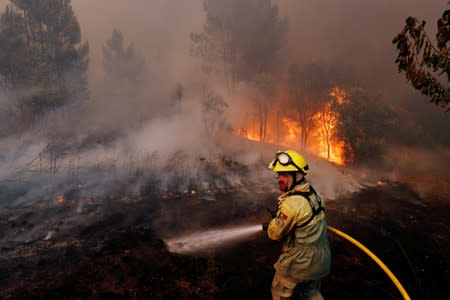 Firefighters help to put out a forest fire near the village of Vila de Rei