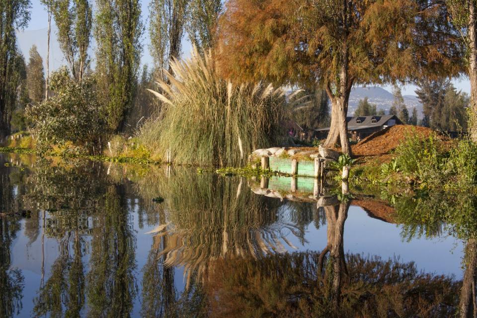 A well-maintained farming island among canals near Mexico City.