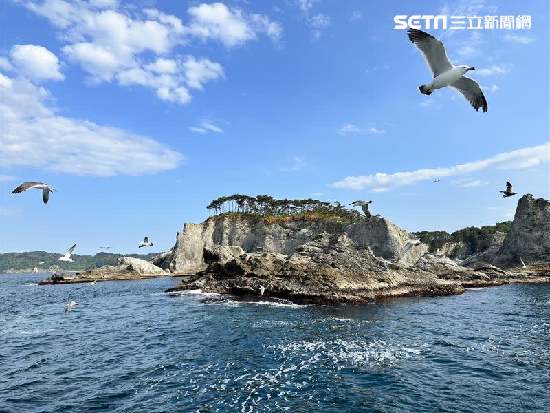 岩手縣的「淨土之濱」隸屬三陸復興國立公園，是比仙境還仙境的美麗淨土，還可以搭乘遊覽船餵食海鷗。（圖／記者劉沛妘攝影）