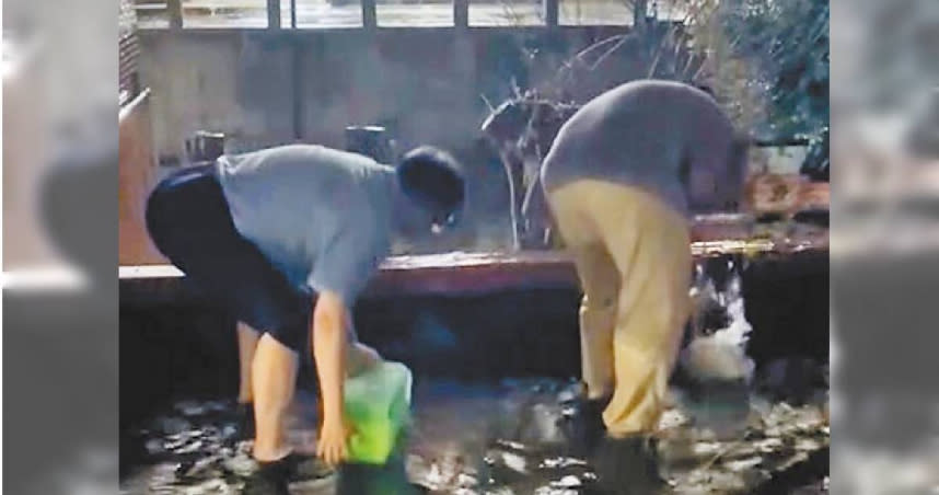 中山大學武嶺二村男生宿舍於25日因大雨滂沱傳出積水情況， 學生拿著水桶和畚箕不停舀水往外倒，因露台的排水孔堵塞未被發現才造成積水災情。（圖／翻攝畫面）