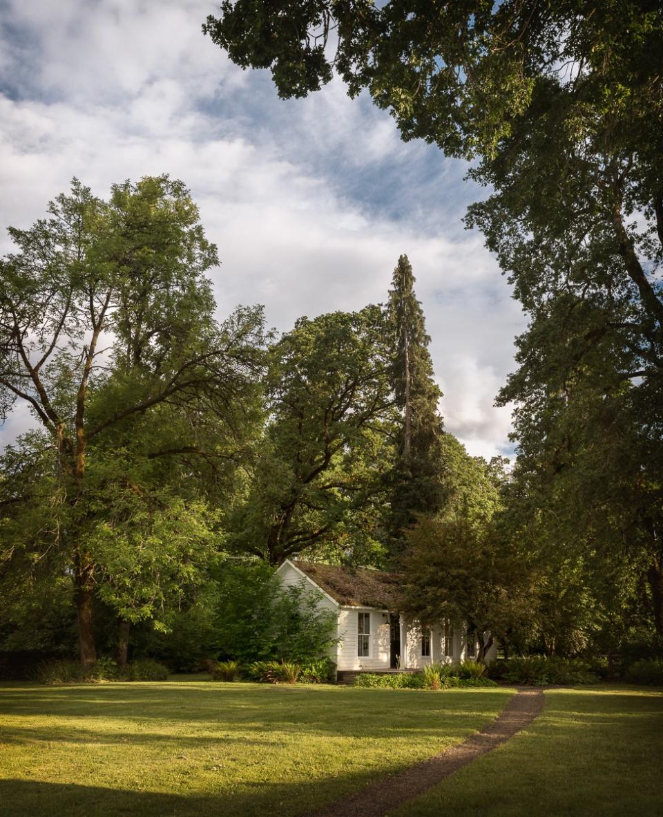 The tiny house, seen from under the oak trees, spreads to just over 540 square feet.