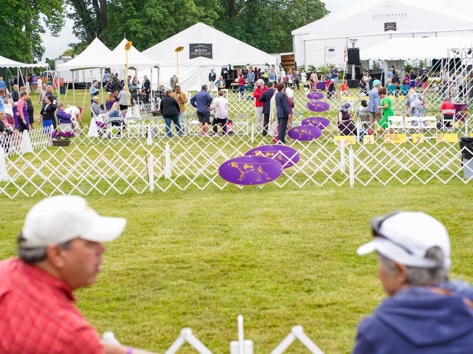 Wide shot of the westminster dog show rings