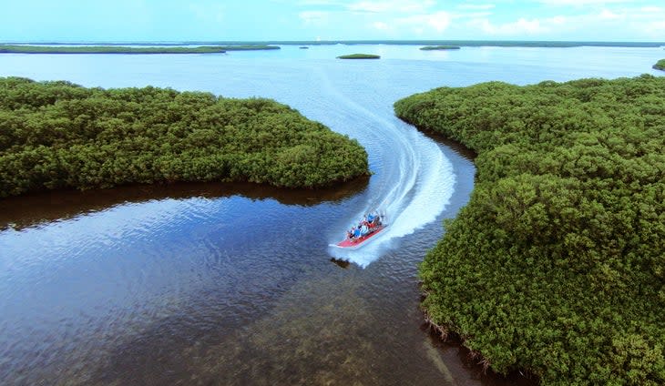 <span class="article__caption">Take an airboat tour of the Homosassa River.</span> (Photo: Miles Saunders / Discover Crystal River Florida)