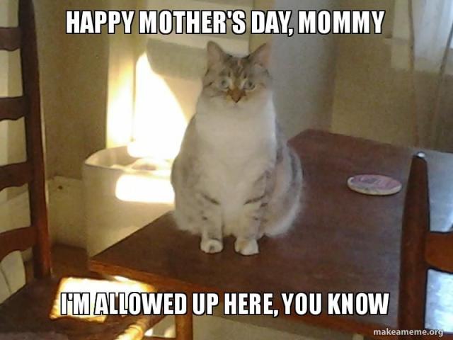 16 Hilarious Mother's Day Memes That Every Mom Will Get A Kick Out Of