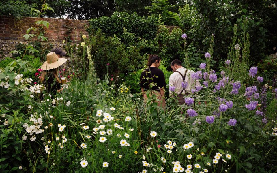 Charleston garden - Lewis Ronald/The Charleston Trust