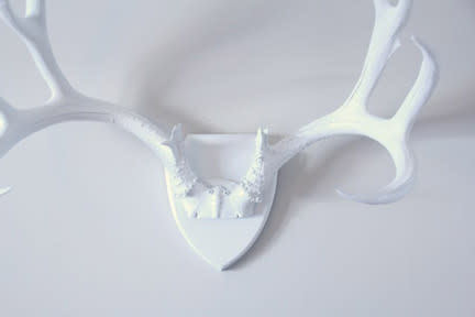 White Antlers