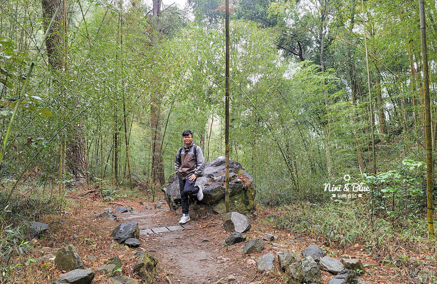 台中｜八仙山國家森林遊樂區