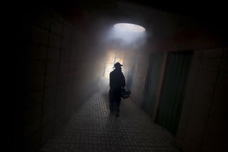 A municipal health worker fumigates the restroom area of a shopping mall as part of the city's effort to prevent the spread of Zika virus' vector, the Aedes aegypti mosquito, in Tegucigalpa, Honduras, in this January 26, 2016 file photo. REUTERS/Jorge Cabrera/Files