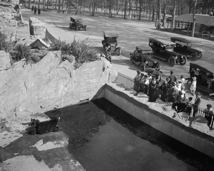 People looking at bears at City Park Zoo (now Denver Zoo) in 1910-1920