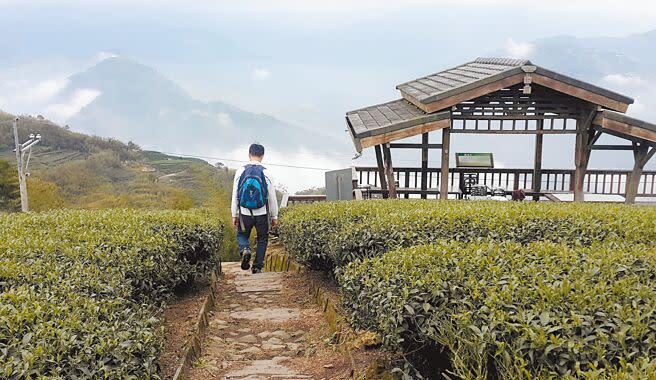 雲林縣古坑鄉二尖山步道名列全台百大必訪步道之一。（周麗蘭攝）