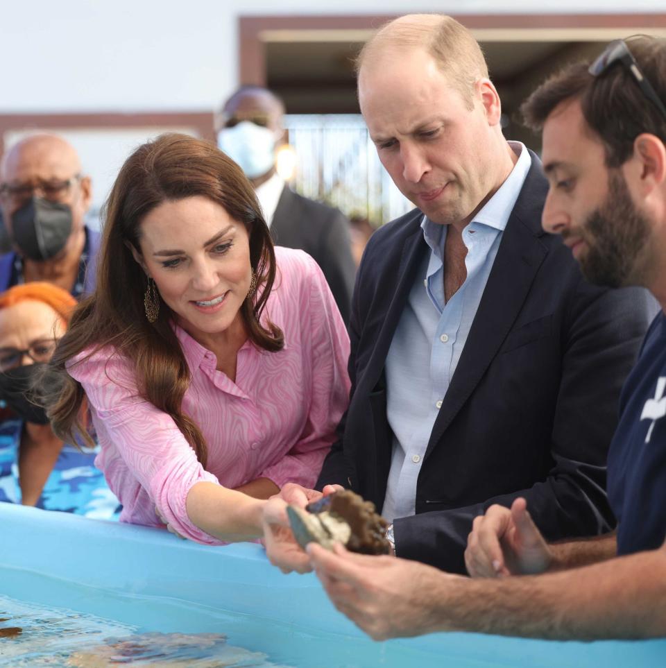 William and Catherine in Coral Vita, Bahamas, which was the inaugural winner of the Revive Our Oceans Earthshot - Getty